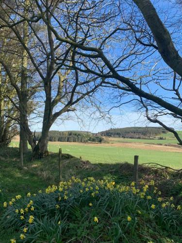 Bruxie Holiday Cottages - Honeysuckle Cottage