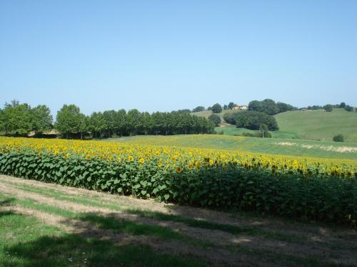 Hotel Relais Du Chateau