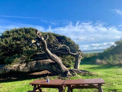 Shorefield Country Park,