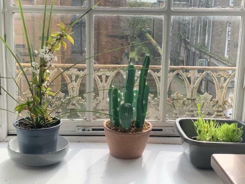 Apartamento Lovely Montrose Flat In Angus