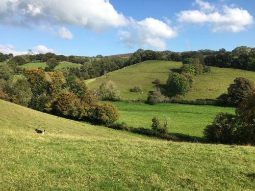 Hostal Cookshayes Country Guest House