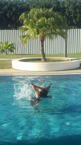 Apartamento Homelite Resort Water Theme Park Condominium