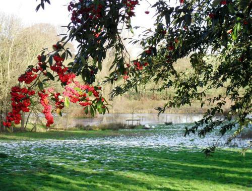 Villa Surlingham Lodge Cottages