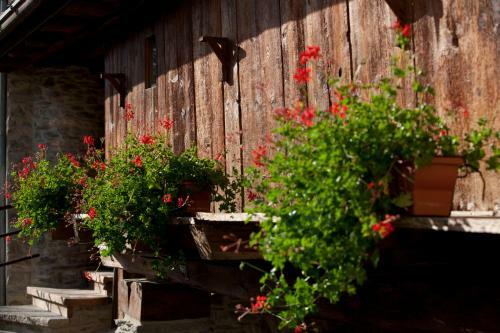 Apartamento Il Fienile Della Nonna