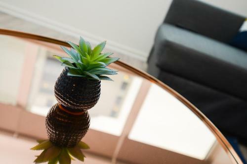 Super Modern City Centre Serviced Apartment