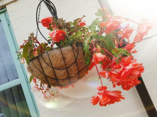 Agroturismo Chatterley House