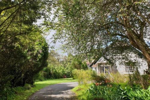 9pax Bintangcottage Cameronhighlands *?????*