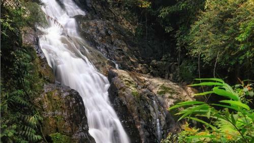 Hostal The Tudor Cameron Highlands