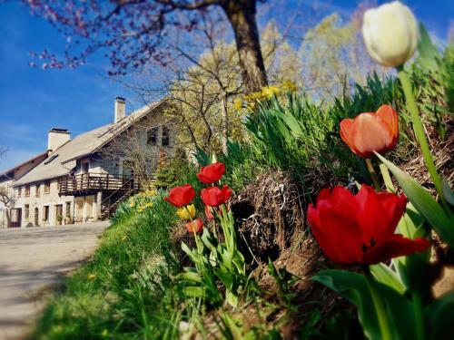 Hostal Chambre D'h�tes La Grange Des Ecrins