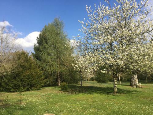 Gite De La Boissi�re