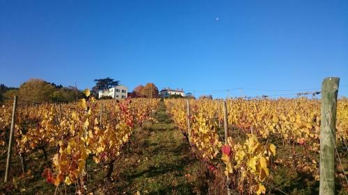Bed & Breakfast Domaine Du Fontenay