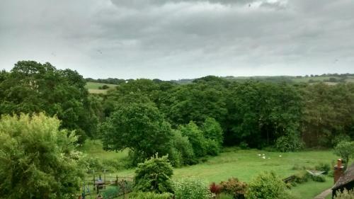 Woodpeckers Cottage B&B
