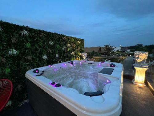 New 2021 Grand Deluxe Art Pool Villa