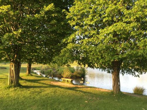 Cosy, Historic, Pet Friendly Cottage, Petworth