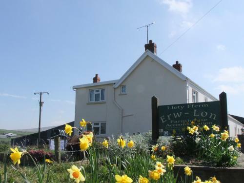 Bed & Breakfast Erw-lon Farm