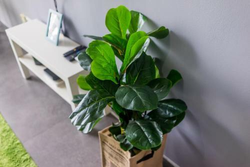 Apartamentos Proper Suites@empire Damansara