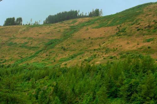 Afan Valley Holiday Home - Mountain Retreat!