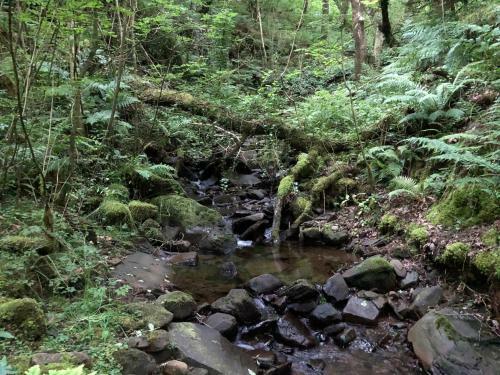 Apartamento The View By Afan Valley Escapes