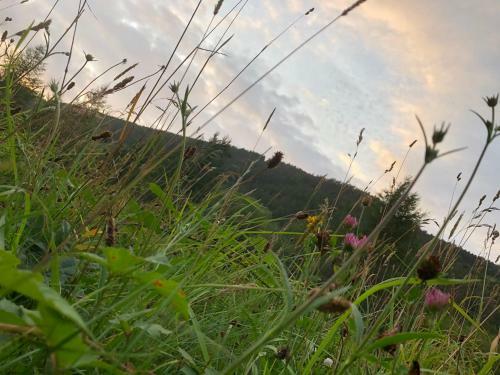 Norton Views By Afan Valley Escapes