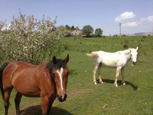 Bed & Breakfast Les G�tes D'eliane