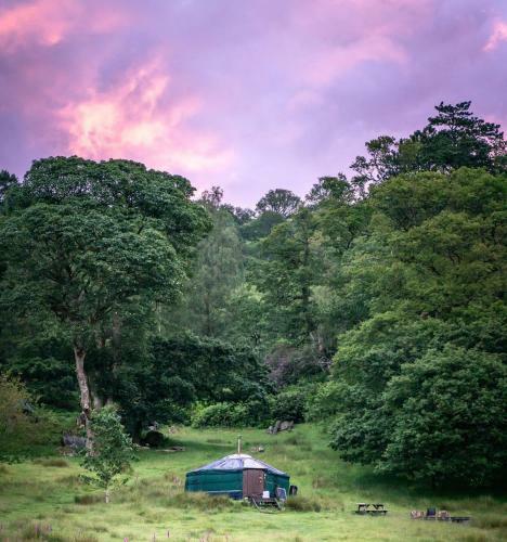 Yurt 2