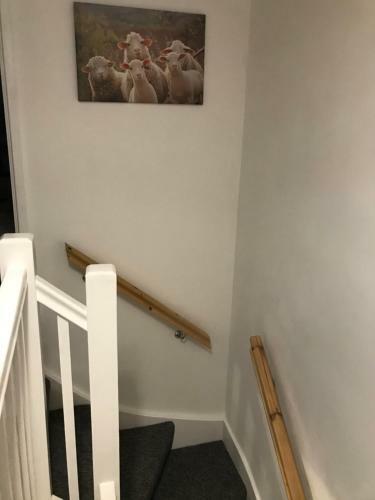 Rhos Cottage Ruthin