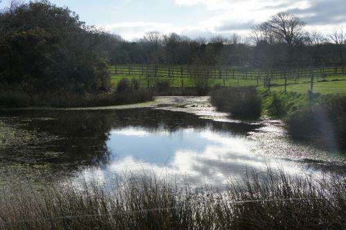 Apartamento The Annex, Ruthvose