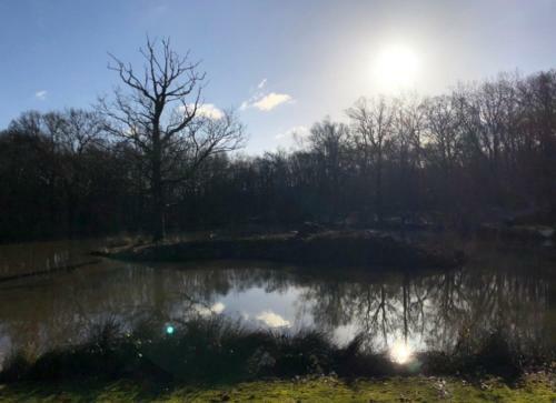 Apartamento Bluebells