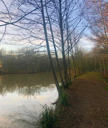 Apartamento Bluebells