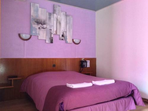 Hotel H�tel Des Alli�s