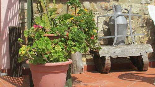 Agroturismo Agriturismo Capuano