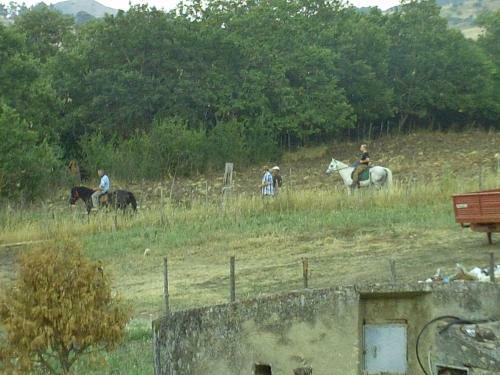 Agroturismo Agriturismo San Pietro
