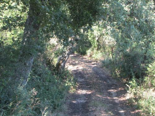 Agroturismo Agriturismo San Pietro