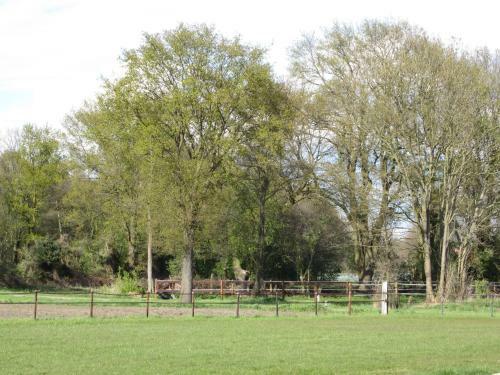 Bed & Breakfast Recreatieboerderij 't Schutje