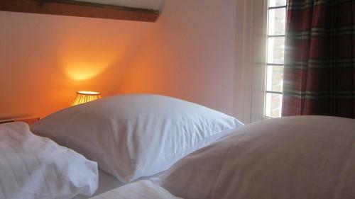 Bed & Breakfast Villa Zomerdijk