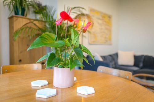 Apartamento St Leonards Lookout - With Glorious Sea Views