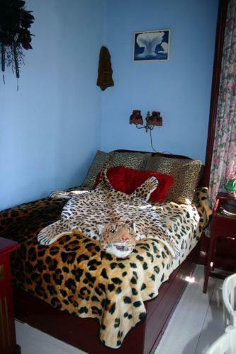 Bed & Breakfast Koningin Van Pieterburen
