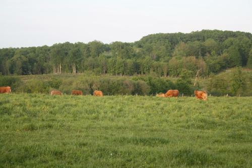 Bed & Breakfast B&amp;b Le Relais De Chantecor