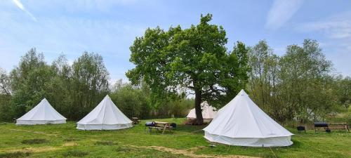 Personal Pitch Tent 6 Persons Glamping 2