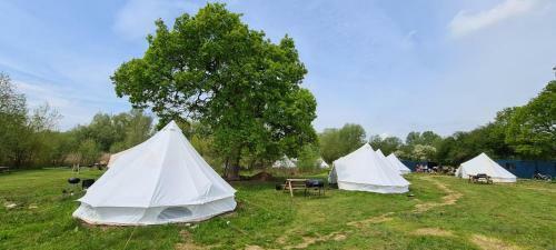 6 Meter Bell Tent - Up To 6 Persons Glamping 3