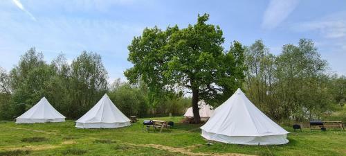Personal Pitch Tent 6 Persons Glamping 21
