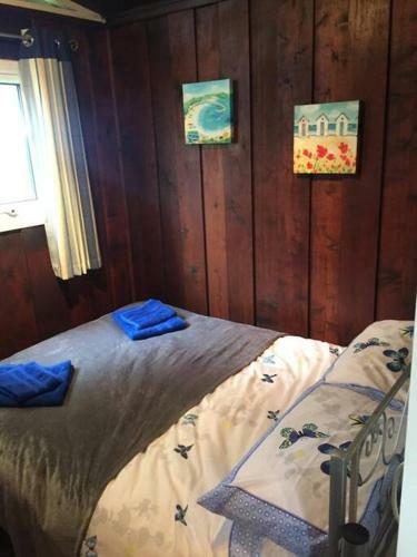 No. 27. A Quiet Dog Friendly Rural/coastal Chalet