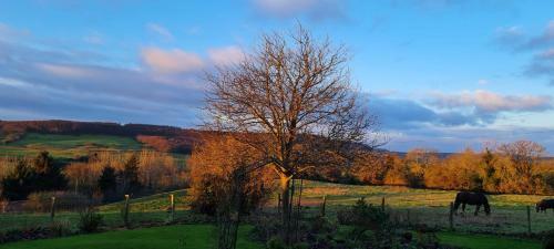 Apartamento Woodpeckers Cottage