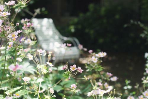 Bed & Breakfast Le Bonheur � La Campagne