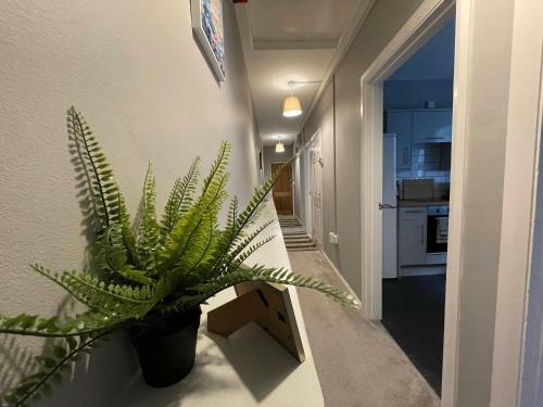 Apartamento High Street View Tenby