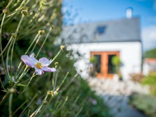 Pass The Keys Spacious Converted Barn With Hot Tub Sleeps 8
