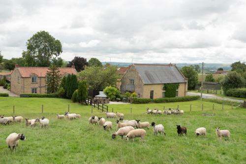 Lodge Sands Farm Cottages