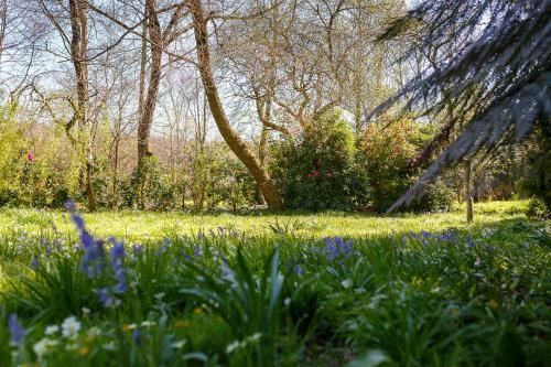 The Snug At Cornish Barn Holidays