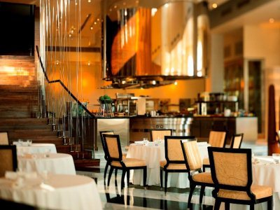 Hotel Park Hyatt Dubai
