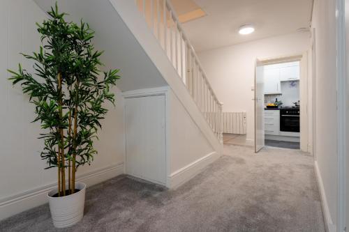 Brand New! Torquay Heights Luxury Apartments